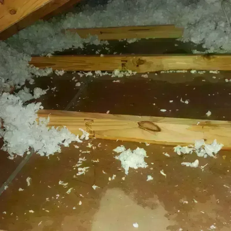 Attic Water Damage in Patillas, PR